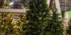 Weihnachtswelten im Gartencenter Lüske